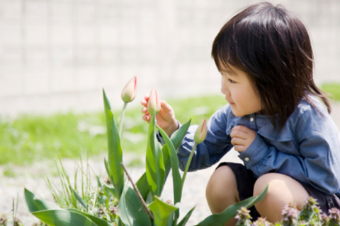 中国计划生育观察：报道：中国将放松独生子女政策